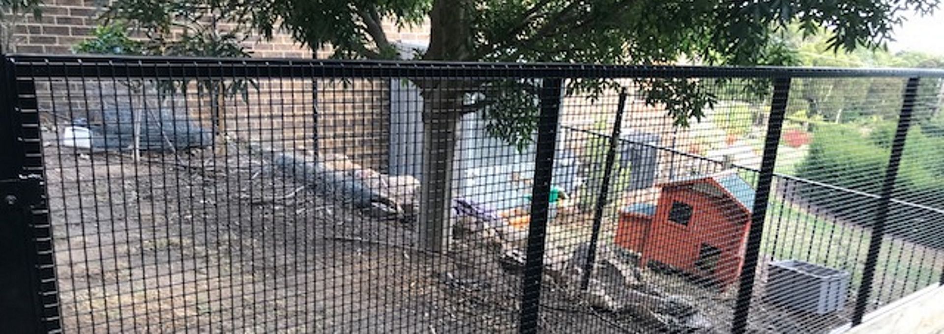 ChickenCage_Berwick_IMG_1944_1920x680_1920x680_acf_cropped